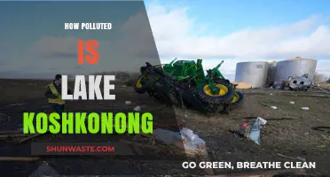 Lake Koshkonong's Pollution: A Detailed Analysis