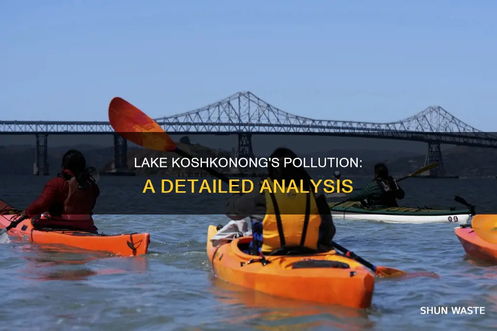how polluted is lake koshkonong