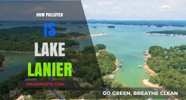 Lake Lanier: A Polluted Paradise?