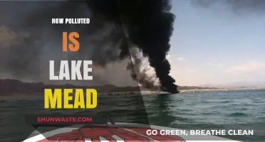 Lake Mead's Pollution Problem: A Comprehensive Overview