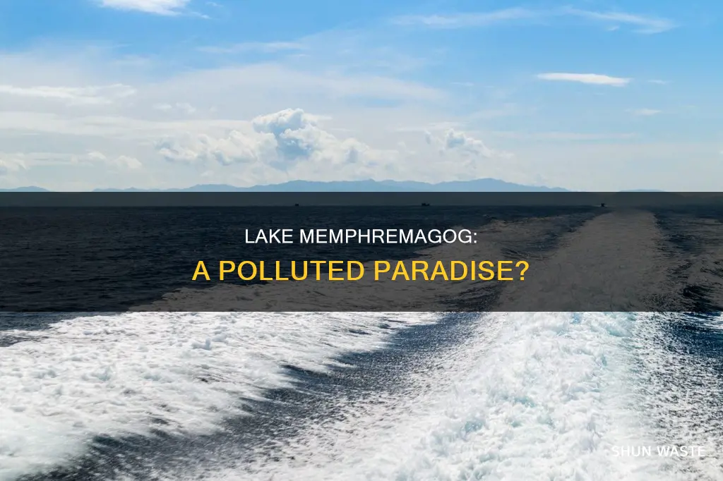 how polluted is lake memphremagog