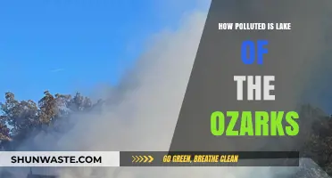 Lake of the Ozarks: A Polluted Paradise?