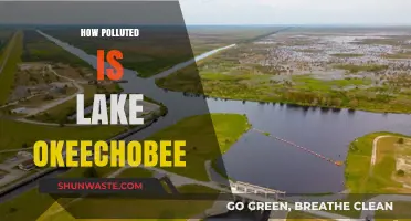 Lake Okeechobee's Pollution Crisis: A Comprehensive Overview