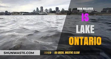 Lake Ontario's Pollution Crisis: A Deep Dive