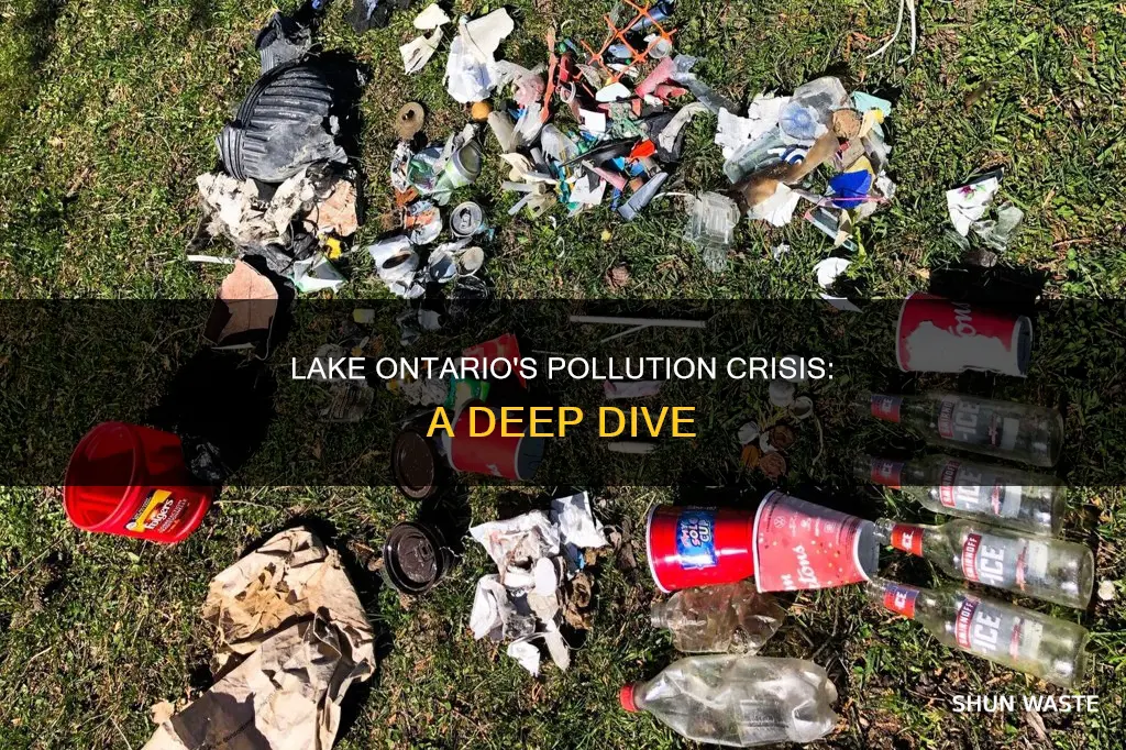 how polluted is lake ontario