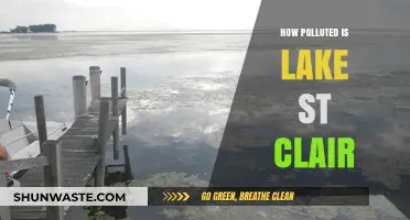Lake St. Clair's Pollution Problem