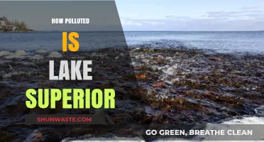 Lake Superior: Pristine or Polluted?