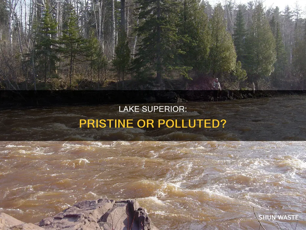 how polluted is lake superior