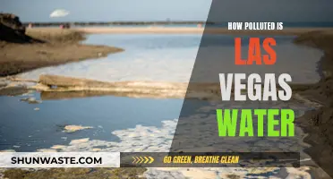 Las Vegas Water: A Deep Dive into Pollution Concerns