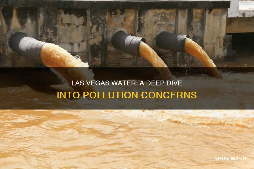 how polluted is las vegas water