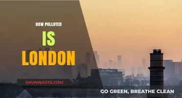 London's Air Quality: A Troubling Reality