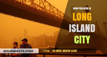 Long Island City: A Polluted Paradise?