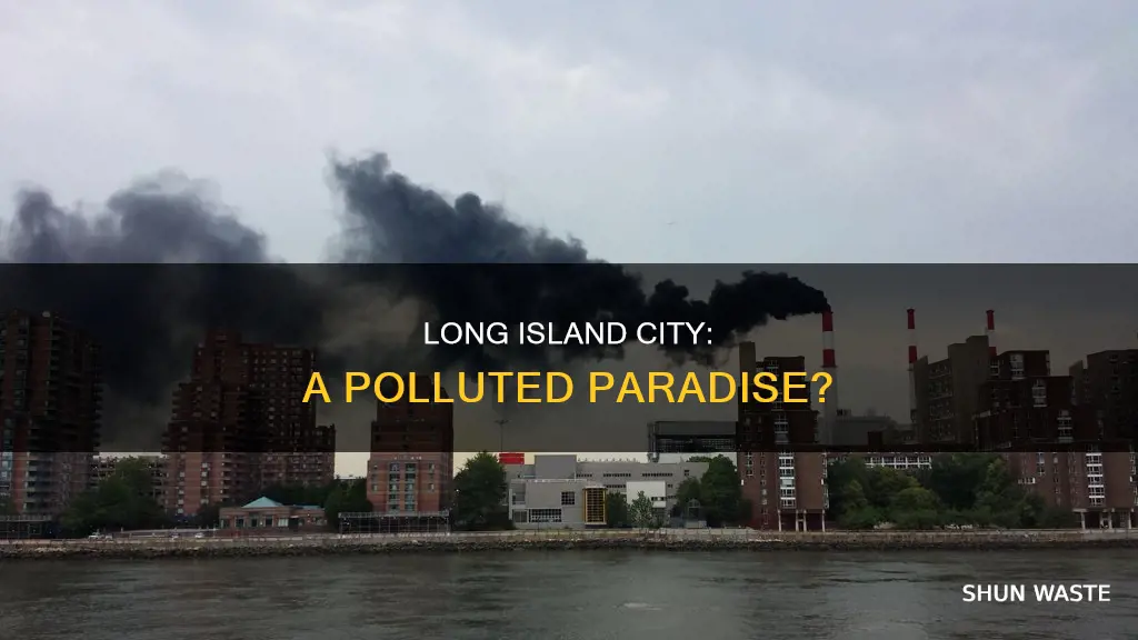 how polluted is long island city