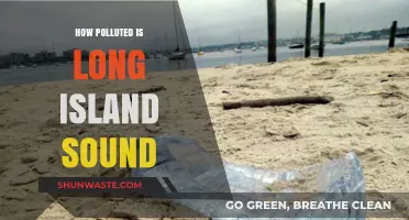 Long Island Sound: A Polluted Paradise?