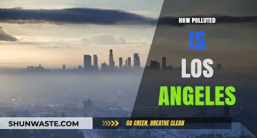Los Angeles' Air Quality: A Troubling Reality