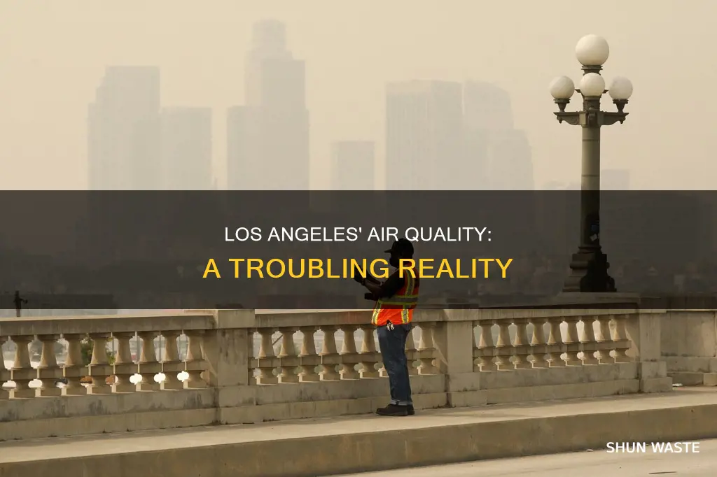 how polluted is los angeles
