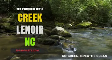 Lower Creek Lenoir: A Polluted Waterway?