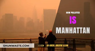 The Air Quality Crisis in Manhattan