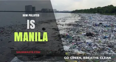 Manila's Pollution Crisis: A Dire Situation