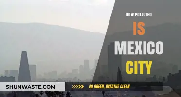 Mexico City's Pollution: A Dire Situation