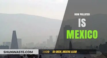 Mexico's Pollution Crisis: A Comprehensive Overview