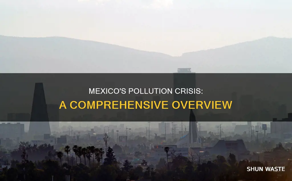 how polluted is mexico