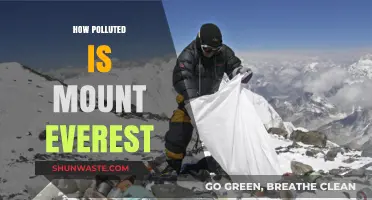 Everest's Pollution Problem: A Climber's Perspective