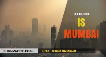 Mumbai's Pollution Crisis: A City Choking on Growth