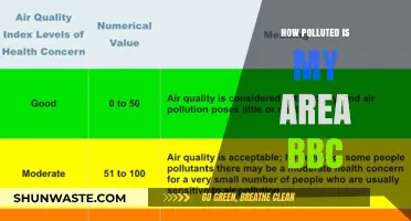Air Pollution: Is Your Area Safe?
