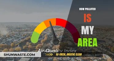 Air Quality Alert: Is Your Area Polluted?