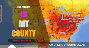 Air Quality Alert: Is Your County Polluted?