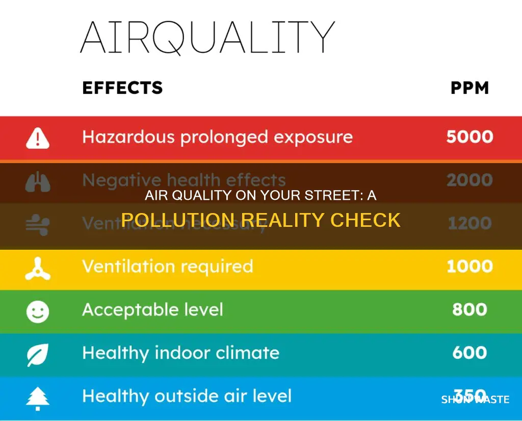 how polluted is my road