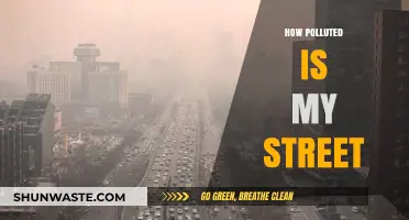 Air Quality Alert: Street Pollution Levels