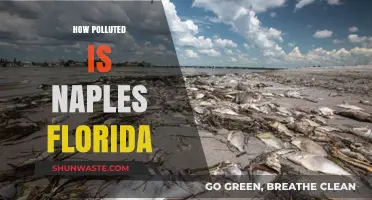 The Polluted Truth about Naples, Florida