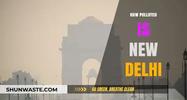 Delhi's Air: A Tale of Pollution and Negligence