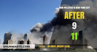 The Pollution Legacy of 9/11 in NYC