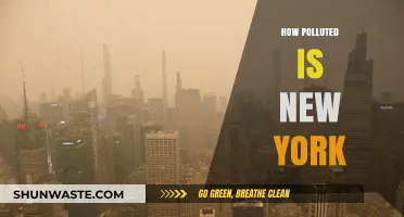 The Dark Side of New York's Pollution