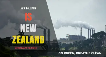 The Green Image: Is New Zealand Really Clean?