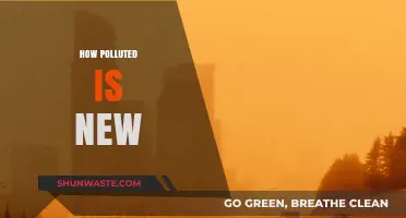 The Dark Side of New York: Pollution Exposed