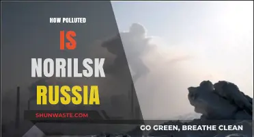 Norilsk, Russia: A City Choking on Pollution