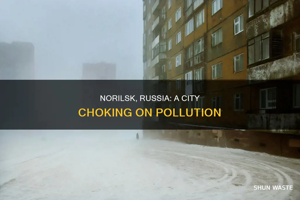 how polluted is norilsk russia