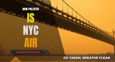 NYC Air Quality: How Polluted Is It?
