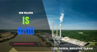 Ohio's Troubled Waters: Pollution Crisis
