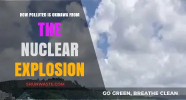 Okinawa's Nuclear Legacy: Pollution and Health
