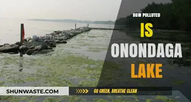 Onondaga Lake's Pollution Problem: A Detailed Analysis