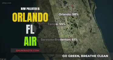 Orlando's Air Quality: A Pollution Concern?