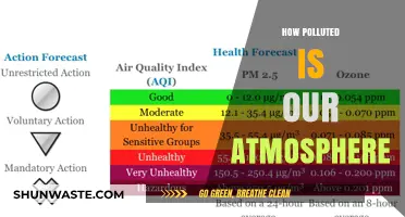 The Atmosphere's Pollution Crisis