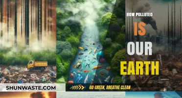 The Earth's Pollution Crisis: How Bad Is It?