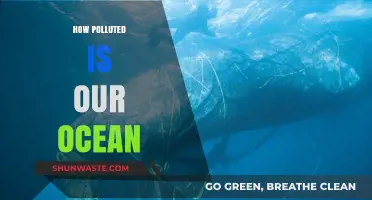 The Ocean's Pollution Crisis: A Global Emergency