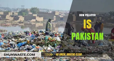Pakistan's Pollution Crisis: A Comprehensive Overview